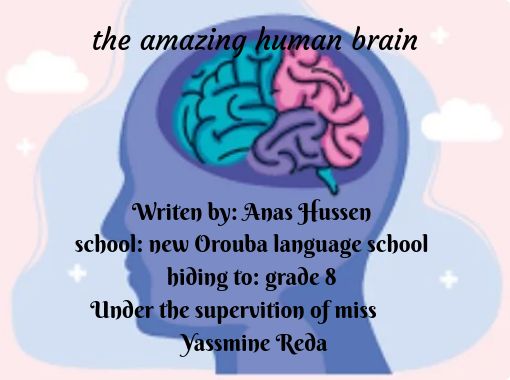 human brain images for kids