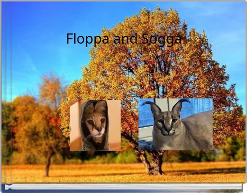 Floppa: All Videos Shopping Books More, PDF, Computer Network