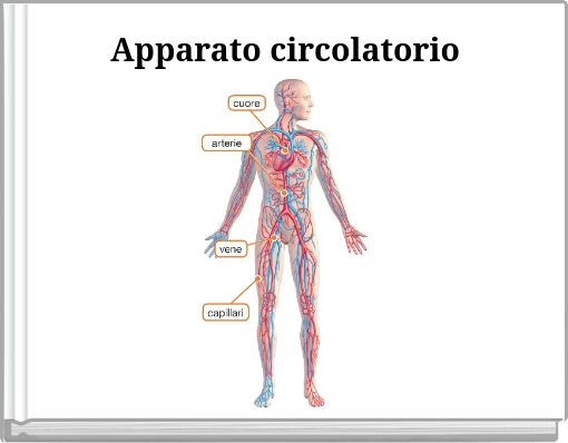 capillari nel cuore