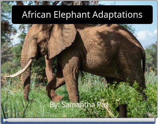 African Elephant Adaptations Free Stories Online Create Books For   African Elephant Adaptations