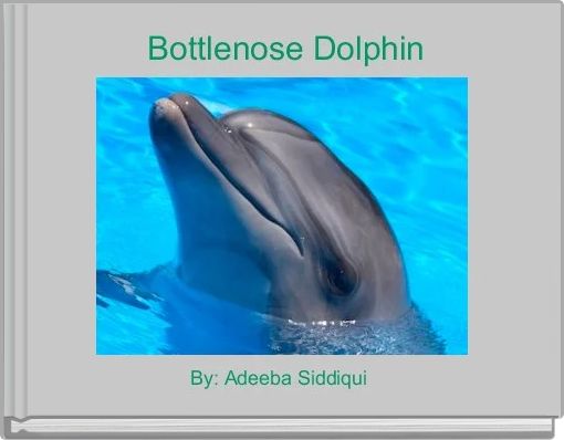 Quot The Bottlenose Dolphin Quot Free Books Amp Children S Stories