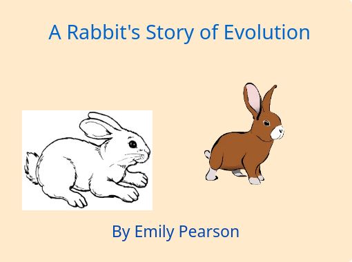 rabbit evolution