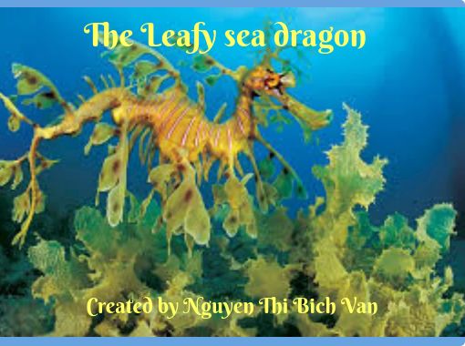 The Leafy Sea Dragon Free Stories Online Create Books For Kids