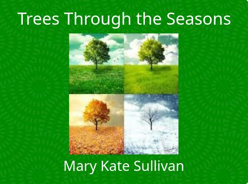 trees changing seasons