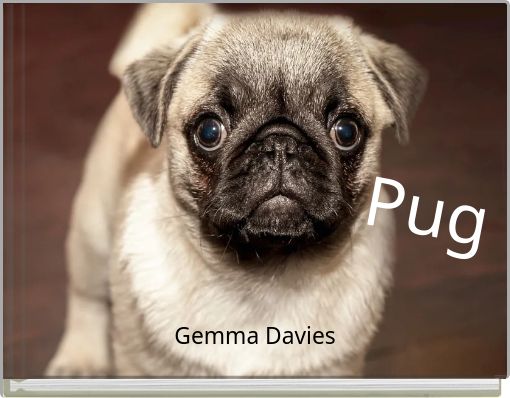 "Pug" - Free stories online. Create books for kids | StoryJumper