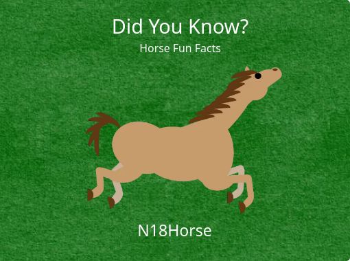 did you know facts for kids