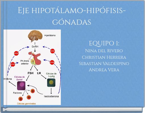 diagrama del hipotálamo