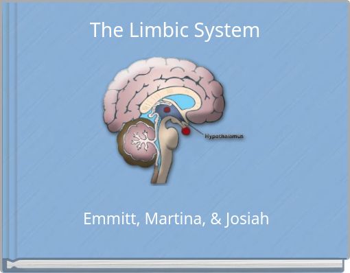 brain limbic system blank