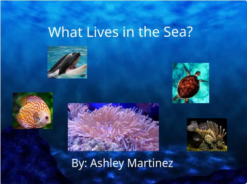 "What Lives in the Sea?" - Free stories online. Create books for kids