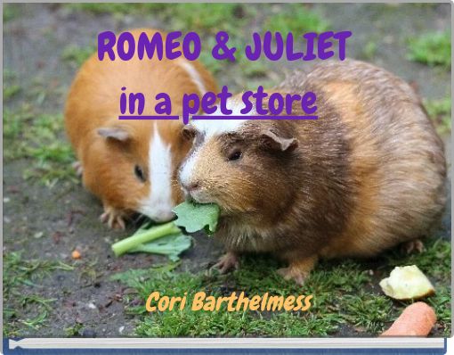 Romeo Julietin A Pet Store Free Stories Online Create Books For Kids Storyjumper