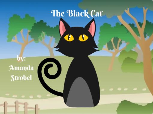 Black Cat Books