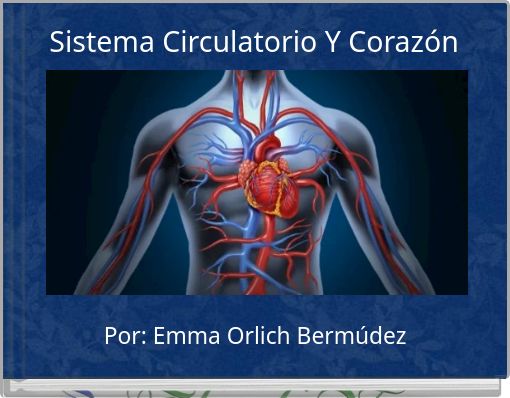 el sistema circulatorio del corazón