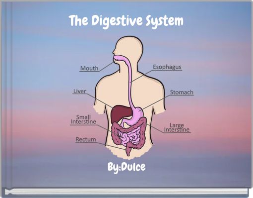 "The Digestive System" - Free stories online. Create books for kids