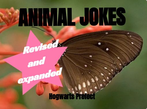 "ANIMAL JOKES" - Free stories online. Create books for kids | StoryJumper