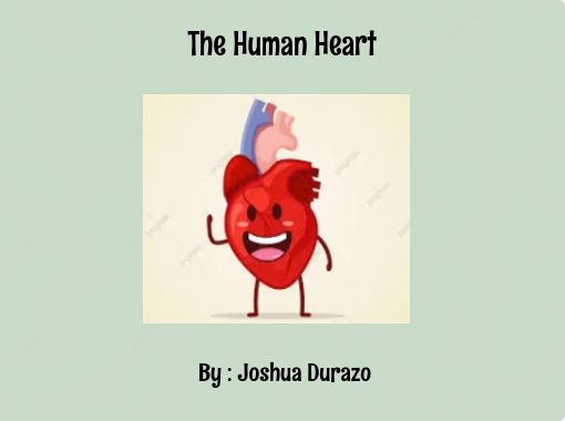 human heart animation for kids