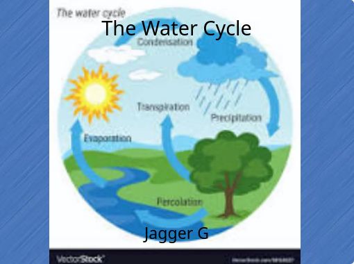 "The Water Cycle" - Free stories online. Create books for kids