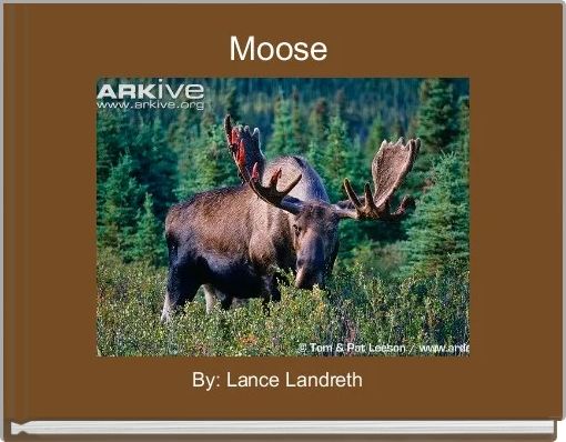coniferous forest moose