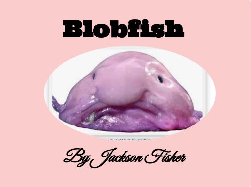 Blob Fish - Free stories online. Create books for kids