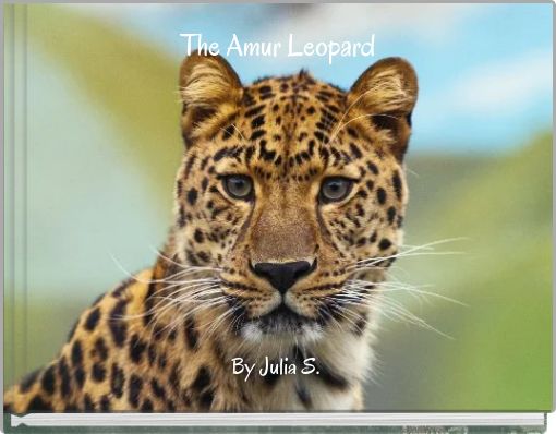 Leopards - Born Free