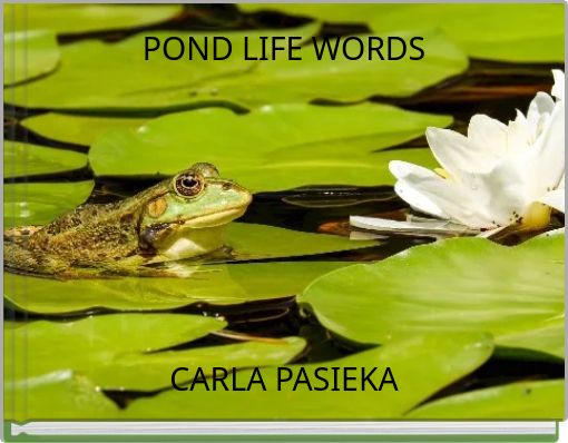 pond-life-words-free-stories-online-create-books-for-kids